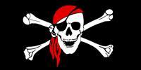 Jolly Roger Assorted Mixed Designs Pirate Bumper Stickers Hot Sales