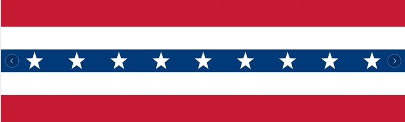 USA Fan 3'X5' Flags ROUGH TEX® 68D Nylon Bunting Printed Pleats American