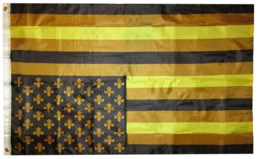 USA Black and Gold Fluer De Lis 3'X5' Flag ROUGH TEX® 100D