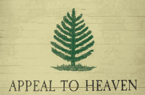 AN APPEAL TO HEAVEN VINTAGE DOUBLE SIDED GEN. WASHINGTON PINE TREE FLAG 3'X5' Flag Rough Tex® 100D