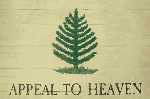 AN APPEAL TO HEAVEN VINTAGE GEN. WASHINGTON PINE TREE FLAG 3'X5' Flag Rough Tex® 100D