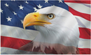 American Eagle 3'X5' Flag ROUGH TEX® 100D