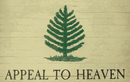 Appeal To Heaven Vintage 2'x3' Flag ROUGH TEX® 100D