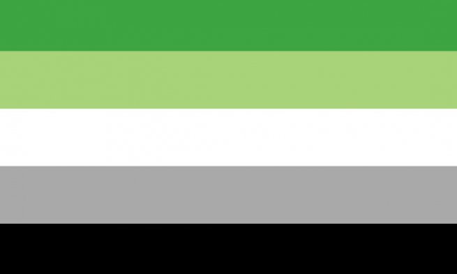 Aromantic Pride 12"x18" Nylon Flag With Grommets ROUGH TEX® 68D