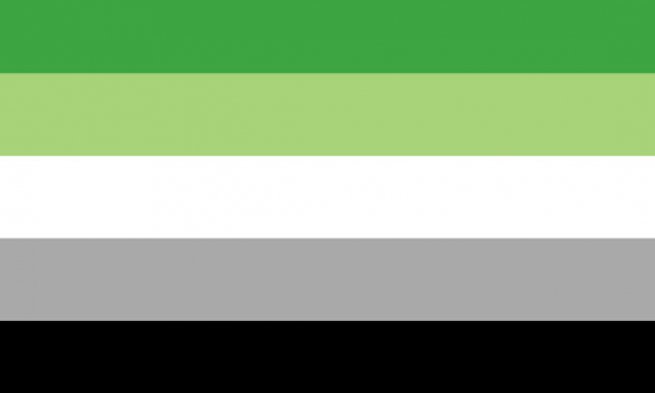 Aromantic Pride 12"x18" Double Sided Nylon Flag With Grommets ROUGH TEX® 68D