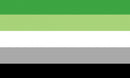 Aromantic Pride 2'x3' Nylon Flag ROUGH TEX® 68D