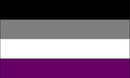 Asexual 12"x18" Double Sided Nylon Flag With Grommets ROUGH TEX® 68D