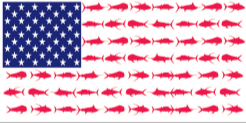 USA Beach Life Bumper Sticker American Fishing