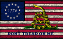 Betsy Ross 1776 Gadsden Vintage 3'x5' Flag ROUGH TEX® 68D Nylon 2nd Amendment Don't Tread on Me
