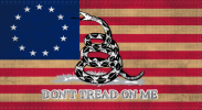 Betsy Ross Gadsden 2'x3' Flag ROUGH TEX® 100D