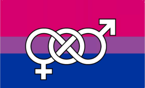 Bisexual Symbol Pride 3'x5' Flag ROUGH TEX® 68D Nylon