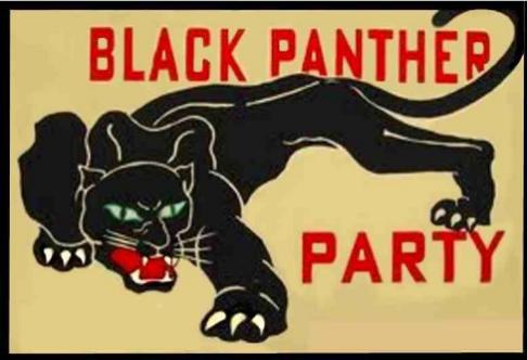 Black Panther Party 3'X5' Flag ROUGH TEX® 100D