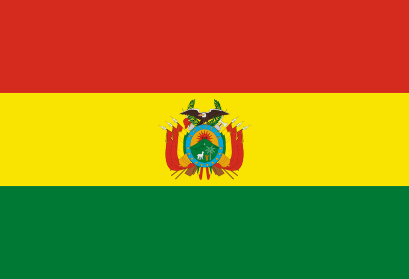 Bolivia 12"x18" Flag With Grommets ROUGH TEX® 100D