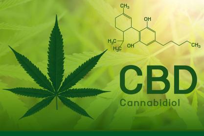 CBD Cannabis Green 3'X5' Flag Rough Tex® 100D