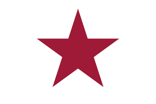 California Lone Star Alvarado 3'X5' Flag ROUGH TEX® 100D AKA Georgia Secession.