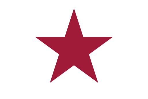 California Lone Star Alvarado 2'x3' Flag ROUGH TEX® 100D (Georgia Secession)