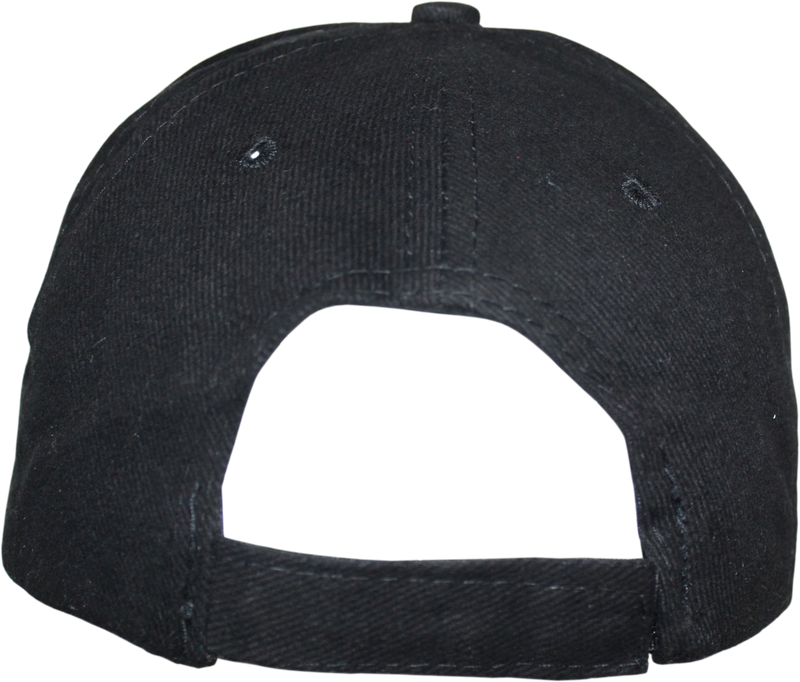 The Patriot Party USA Black Embroidered Cap