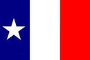 Texas Dodson 3'X5' Flag Rough Tex® 150D Nylon