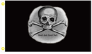 Don't Ask Don't Tell 3'X5' Flag ROUGH TEX® 100D Pirate Skull & Bones