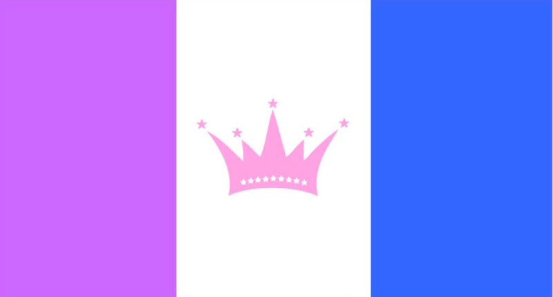 Drag Queen 12"x18" Double Sided Nylon Flag With Grommets ROUGH TEX® 68D