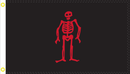 Edward Lowe 3'X5' Flag ROUGH TEX® 100D Pirate Skeleton Jolly Roger