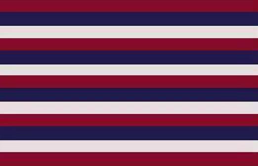 Fort Mifflin 3'X5' Flag ROUGH TEX® 100D American Original