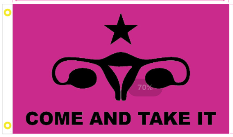 Come and Take It Feminist 3'x5' Flag 100D