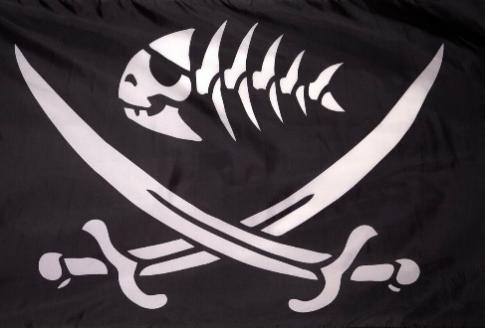 Fish Bones Pirate 2'x3' Flag With Grommets Rough Tex® 100D