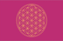 Flower Of Life 3'X5' Flag ROUGH TEX® 100D