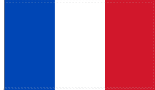 France 3'x5' Flag ROUGH TEX® 68D Nylon