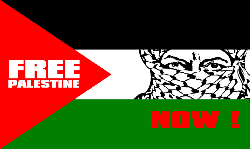 Free Palestine Now 3'x5' Nylon Flag ROUGH TEX® 68D Clearance Sale