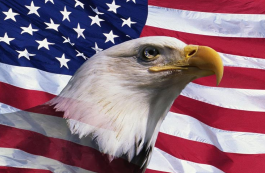 Freedom Eagle USA 3'X5' Flag Rough Tex® 100D