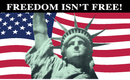 Freedom Isn't Free Statue of Liberty 3'X5' Flag ROUGH TEX® 68D