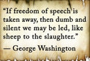 Freedom of Speech George Washington 3'X5' Flag ROUGH TEX® 100D