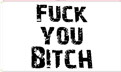 Fuck You Bitch 3'X5' Flag ROUGH TEX® 100D
