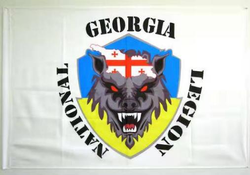 Georgia National Legion White 3'X5' Flag Rough Tex® 100D