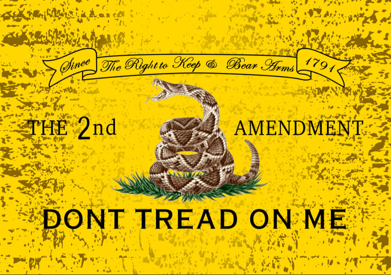 Gadsden Live Rattlesnake 2nd Amendment 2'x3' Flag ROUGH TEX® 100D
