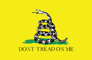 Gadsden Car Flag 12"x18" Nylon Double Sided