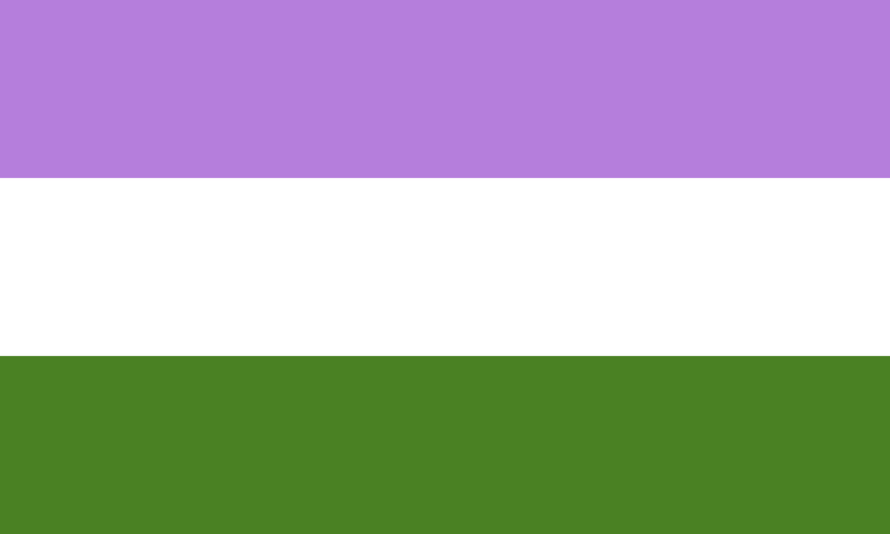 Gender Queer 12"x18" Nylon Flag With Grommets ROUGH TEX® 68D