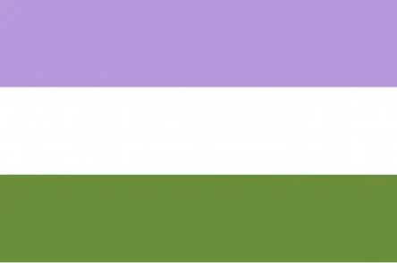 Gender Queer Pride 4"x6" Desk Stick Flag Rough Tex® 68D