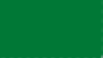 Green 12"x18" Car Flag Flag ROUGH TEX® 68D