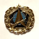 United States Space Force Lapel Pin