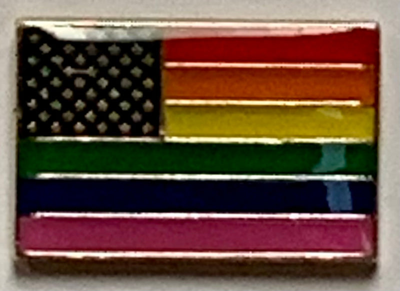USA Rainbow Lapel Pin