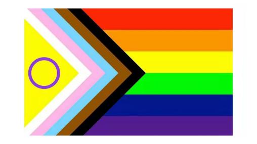 Intersex Progressive Pride 3'X5' Flag ROUGH TEX® 150D Inclusive Rainbow Newest Design LGBTQ+
