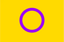 Intersex Pride 4"x6" Desk Stick Flag Rough Tex® 68D