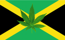 Jamaica Cannabis Leaf 3'x5' Flag ROUGH TEX® 68D Nylon Rasta Weed Marijuana