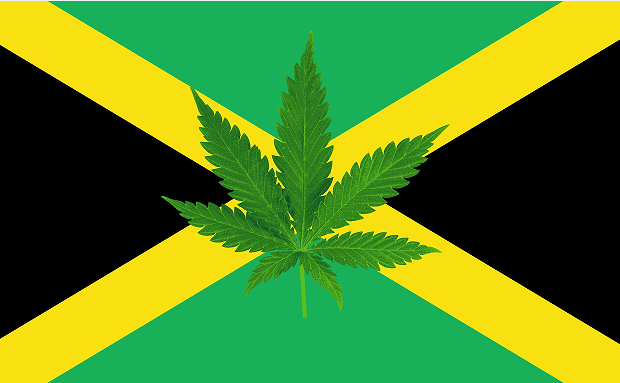 Jamaica Cannabis Leaf 3'x5' Flag ROUGH TEX® 68D Nylon Rasta Weed Marijuana