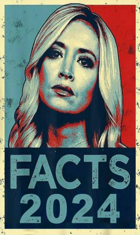 Kayleigh Facts 2024 3'X5' Flag ROUGH TEX® 100D