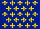 Kingdom Of France VII-VIII 12''X18'' Flag With Grommets Rough Tex® 100D