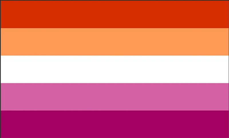 Lesbian Rainbow 12"x18" Nylon Flag With Grommets ROUGH TEX® 68D